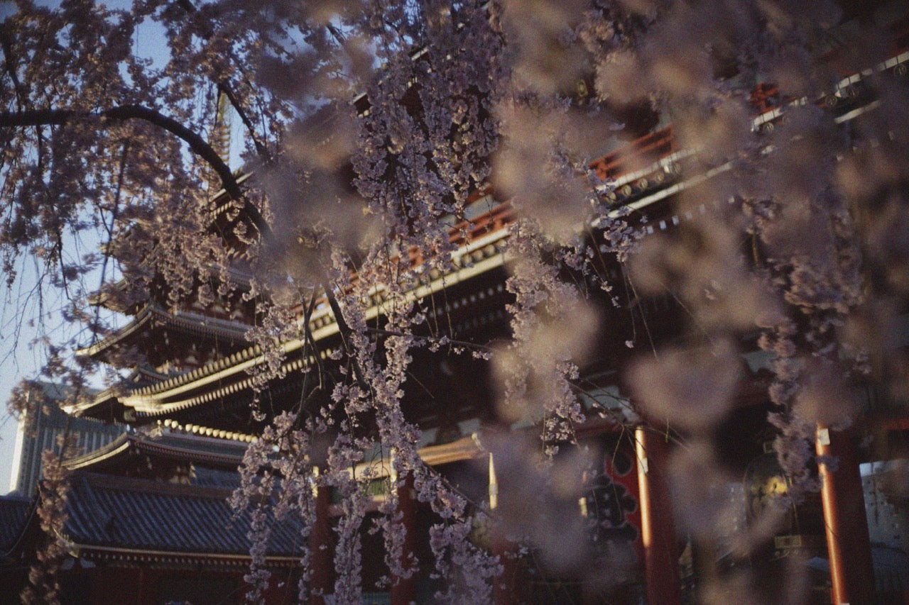 Tokyo Asakusa